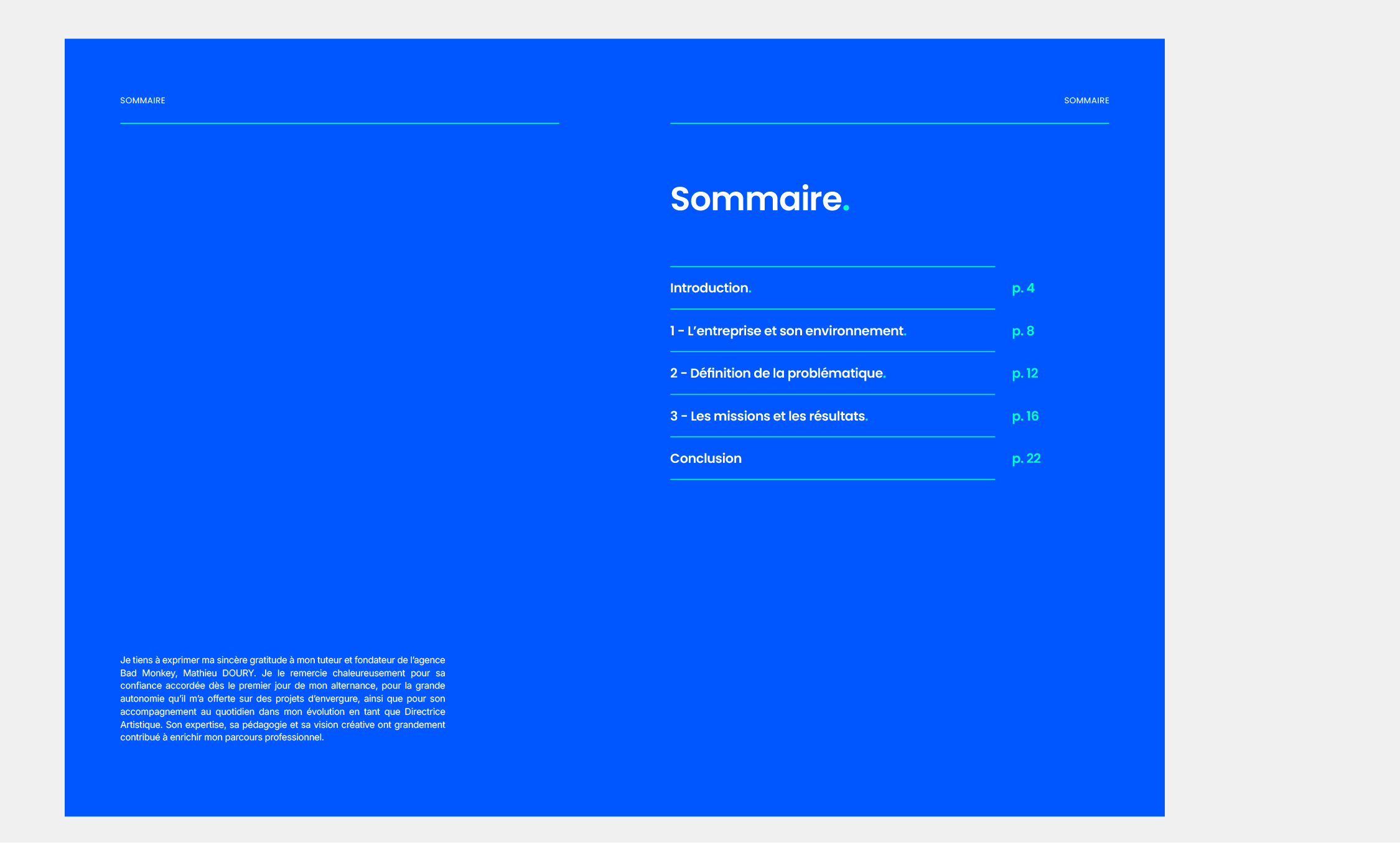 Rapport d'activité